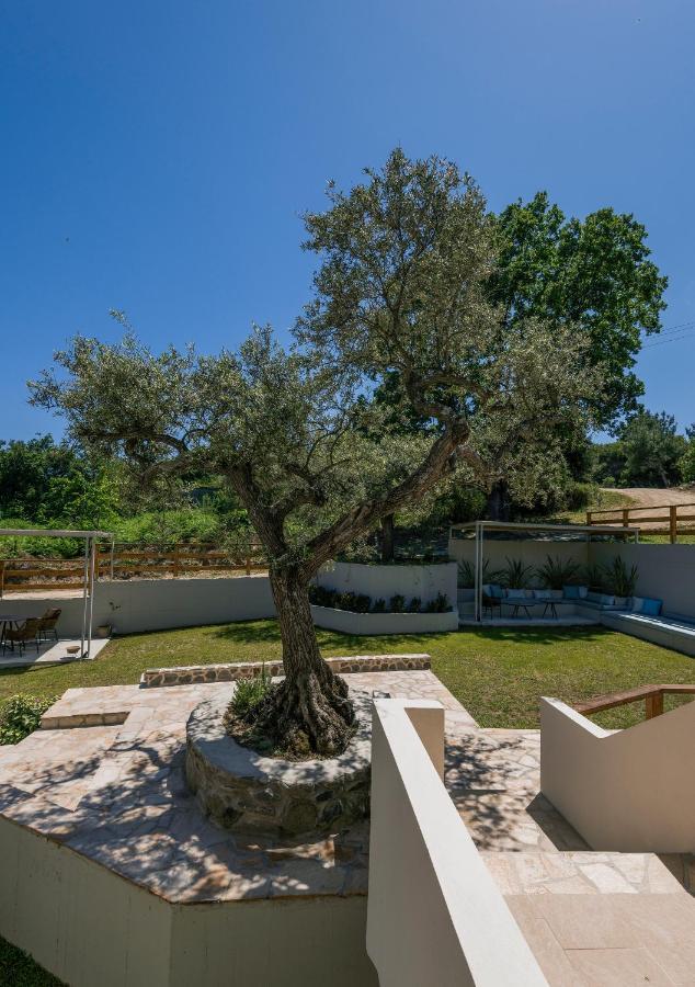 Dionysus Apartments & Suites Иерисос Екстериор снимка